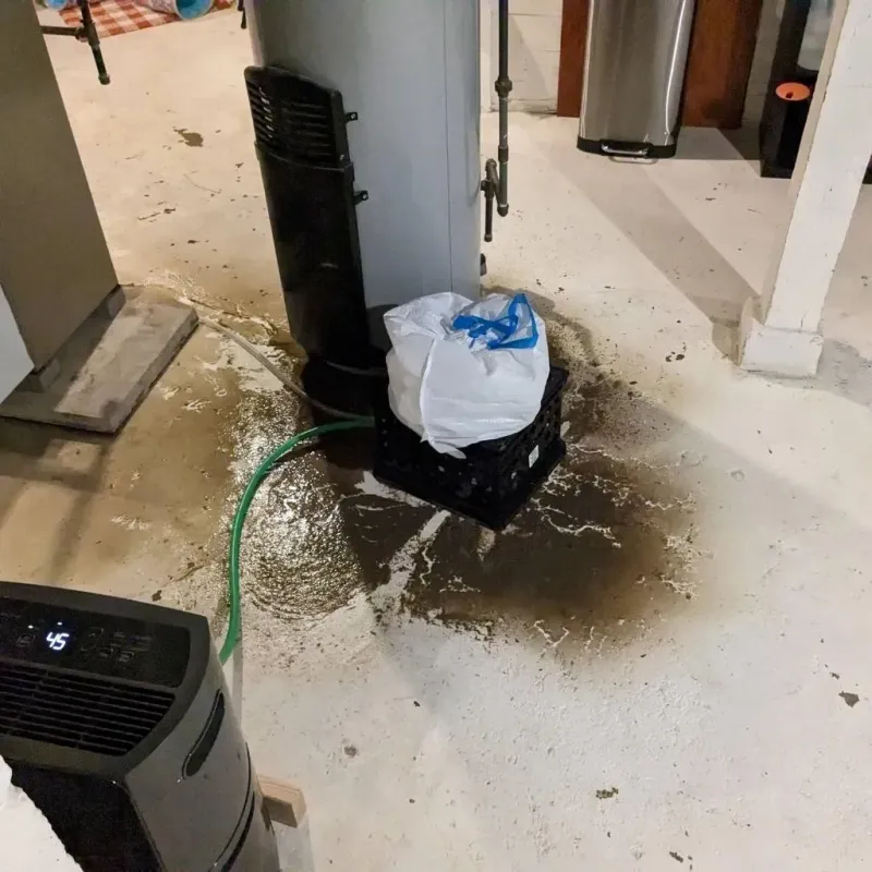 Sewage Backup Cleanup Service in Homeacre-Lyndora, PA